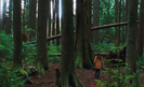 new-moon-bella-woods