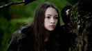 bree-tree-eclipse