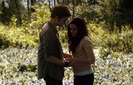 field-bella-edward