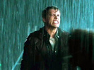 riley-in-the-rain