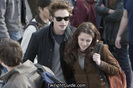 bella-edward-crowd