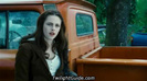 bella-truck