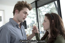 edward-bella-hands