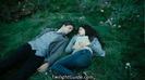 edward-bella-grass