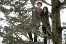 edward-bella-treetop
