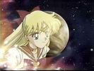 Sailor-Venus-sailor-venus-10388251-425-319