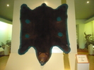 P1140835