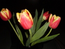 8 MARTIE 2011