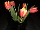 8 MARTIE 2011