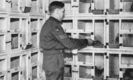 army_pigeon_service_WWII