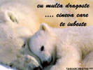 LIZTUEGOPTKIOSPWBSH