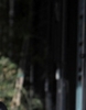 Joe+Jonas+Joe+Jonas+Out+Shopping+American+ZO2lQ63pnWUl_003