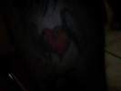 Picture 233