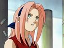 sakura-animestocks[com]-002