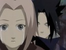 sakura-animestocks[com]-013