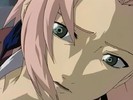 sakura-animestocks[com]-015