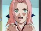 sakura-animestocks[com]-020