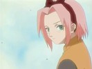 sakura-animestocks[com]-022