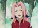 sakura-animestocks[com]-039