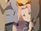 sakura-animestocks[com]-073