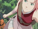 sakura-animestocks[com]-075
