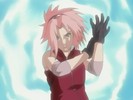 sakura-animestocks[com]-087