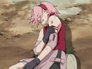 sakura-animestocks[com]-111