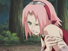 sakura-animestocks[com]-112