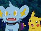 Shinx:nu mai nu pe mine!Pikachu:aah..