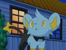 Shinx:saracul....