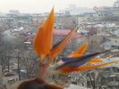 PC170035