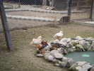 DSCN8976