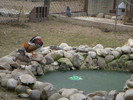 DSCN8980