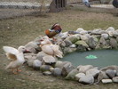 DSCN8983