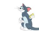 Tom si Jerry