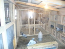 DSC02000