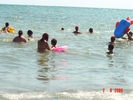 Picture 038