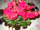 DSCN3910