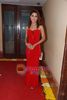 normal_Sara Khan at the launch of Santosh Sawant_s album in Club Millennium on 13th Feb 2011 (33)