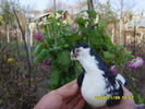 11650165_CDURBUVWK[1]