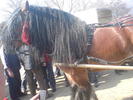 DSC00008