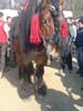 DSC00012