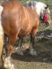 DSC00019