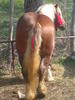 DSC00020
