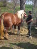 DSC00021