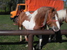 14277778_VZKZSWXJW