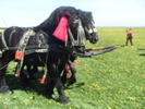 14278127_SNAWYAESN