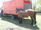 14278234_GIKASHPUY