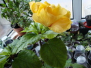 DSC02427