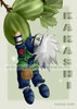kakashi fruct(aluna)